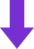 seta